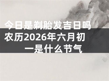 今日是剃胎发吉日吗 农历2026年六月初一是什么节气