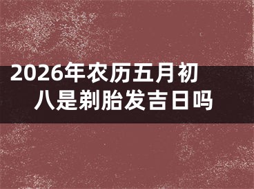 2026年农历五月初八是剃胎发吉日吗