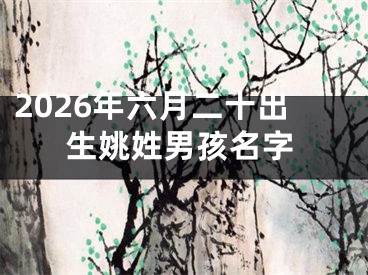2026年六月二十出生姚姓男孩名字