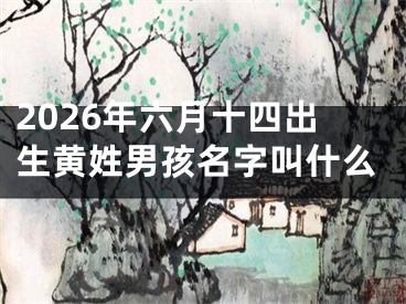 2026年六月十四出生黄姓男孩名字叫什么