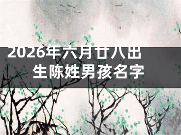 2026年六月廿八出生陈姓男孩名字