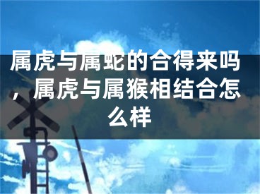 属虎与属蛇的合得来吗,属虎与属猴相结合怎么样