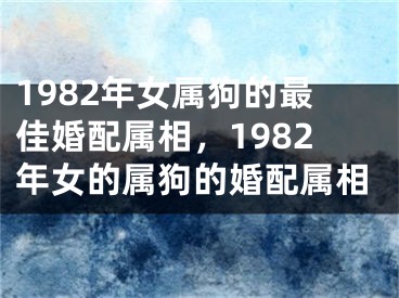 1982年女属狗的最佳婚配属相,1982年女的属狗的婚配属相