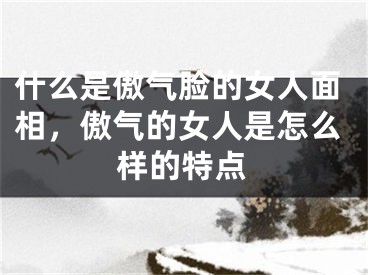 什么是傲气脸的女人面相，傲气的女人是怎么样的特点