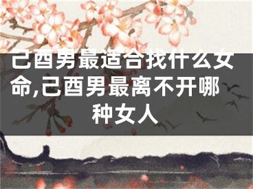 己酉男最适合找什么女命,己酉男最离不开哪种女人