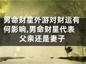 男命财星外游对财运有何影响,男命财星代表父亲还是妻子
