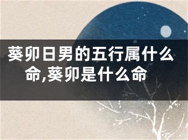 葵卯日男的五行属什么命,葵卯是什么命