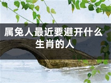 属兔人最近要避开什么生肖的人