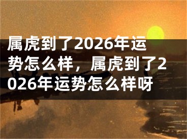 属虎到了2026年运势怎么样，属虎到了2026年运势怎么样呀