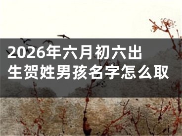 2026年六月初六出生贺姓男孩名字怎么取