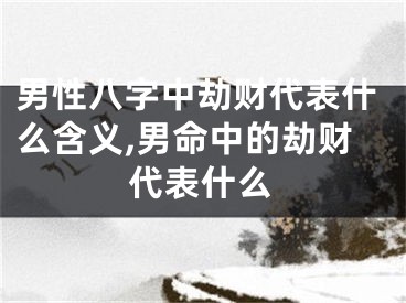 男性八字中劫财代表什么含义,男命中的劫财代表什么