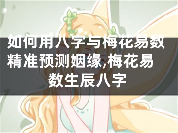 如何用八字与梅花易数精准预测姻缘,梅花易数生辰八字