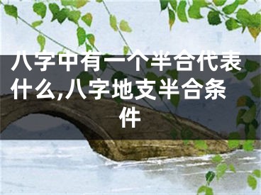 八字中有一个半合代表什么,八字地支半合条件