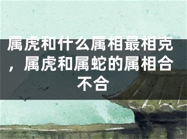 属虎和什么属相最相克,属虎和属蛇的属相合不合