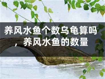 养风水鱼个数乌龟算吗，养风水鱼的数量