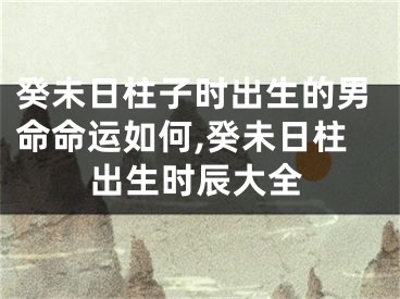 癸未日柱子时出生的男命命运如何,癸未日柱出生时辰大全