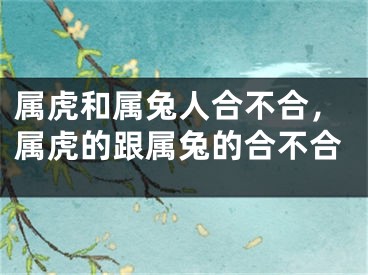 属虎和属兔人合不合，属虎的跟属兔的合不合