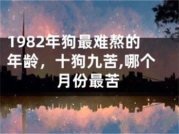 1982年狗最难熬的年龄，十狗九苦,哪个月份最苦