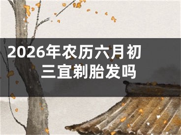 2026年农历六月初三宜剃胎发吗