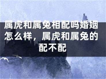 属虎和属兔相配吗婚姻怎么样，属虎和属兔的配不配