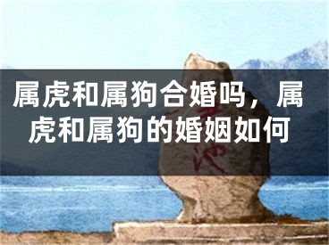 属虎和属狗合婚吗,属虎和属狗的婚姻如何