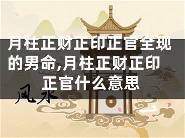 月柱正财正印正官全现的男命,月柱正财正印正官什么意思