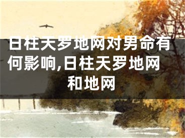日柱天罗地网对男命有何影响,日柱天罗地网和地网