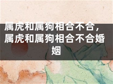 属虎和属狗相合不合，属虎和属狗相合不合婚姻