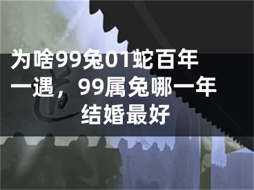 为啥99兔01蛇百年一遇,99属兔哪一年结婚最好