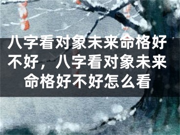 八字看对象未来命格好不好，八字看对象未来命格好不好怎么看