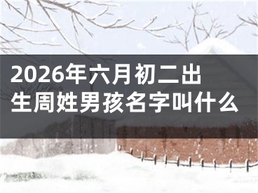 2026年六月初二出生周姓男孩名字叫什么