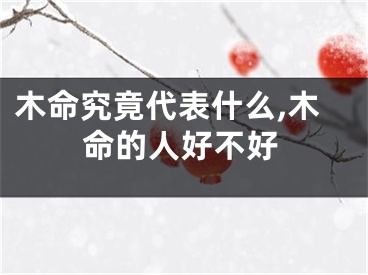 木命究竟代表什么,木命的人好不好