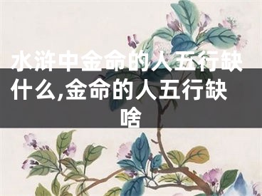 水浒中金命的人五行缺什么,金命的人五行缺啥