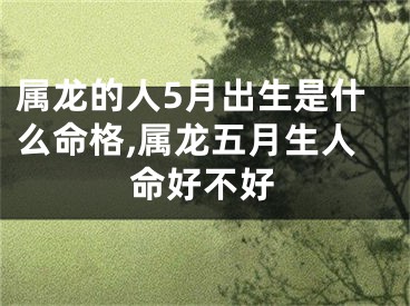 属龙的人5月出生是什么命格,属龙五月生人命好不好