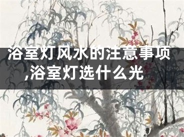 浴室灯风水的注意事项,浴室灯选什么光