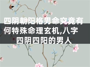 四阴朝阳格男命究竟有何特殊命理玄机,八字四阴四阳的男人