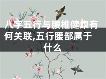 八字五行与腰椎健康有何关联,五行腰部属于什么