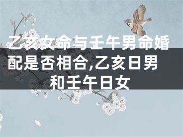 乙亥女命与壬午男命婚配是否相合,乙亥日男和壬午日女