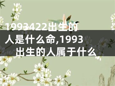 1993422出生的人是什么命,1993出生的人属于什么