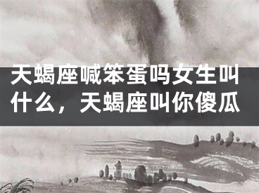 天蝎座喊笨蛋吗女生叫什么，天蝎座叫你傻瓜