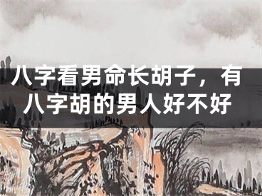 八字看男命长胡子，有八字胡的男人好不好