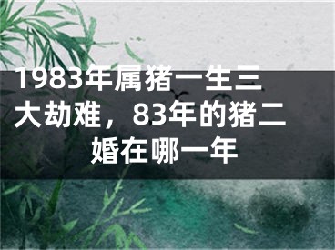 1983年属猪一生三大劫难,83年的猪二婚在哪一年
