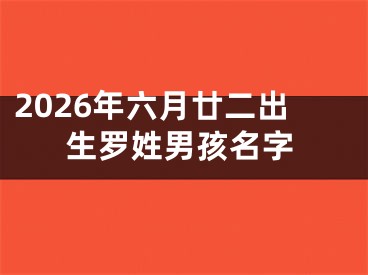 2026年六月廿二出生罗姓男孩名字