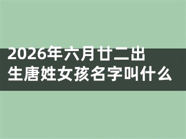 2026年六月廿二出生唐姓女孩名字叫什么