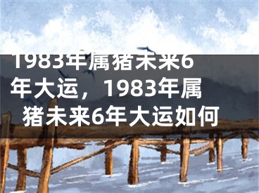 1983年属猪未来6年大运，1983年属猪未来6年大运如何