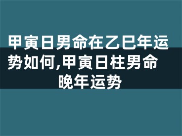 甲寅日男命在乙巳年运势如何,甲寅日柱男命晚年运势