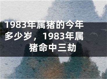 1983年属猪的今年多少岁，1983年属猪命中三劫