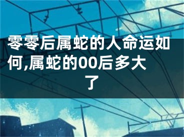 零零后属蛇的人命运如何,属蛇的00后多大了