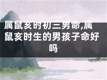 属鼠亥时初三男命,属鼠亥时生的男孩子命好吗