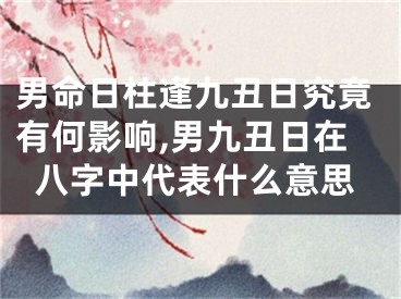 男命日柱逢九丑日究竟有何影响,男九丑日在八字中代表什么意思